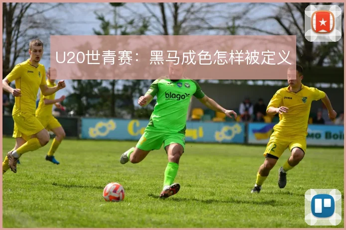 U20世青赛:黑马成色怎样被定义