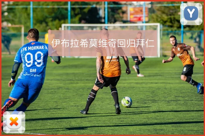 伊布拉希莫维奇回归拜仁