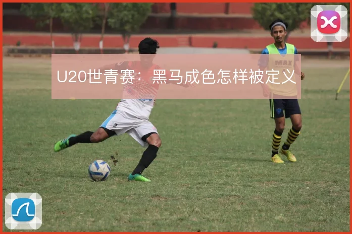 U20世青赛:黑马成色怎样被定义