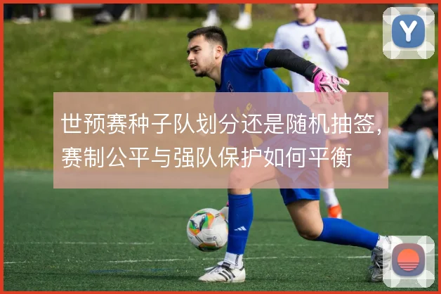 世预赛种子队划分还是随机抽签，赛制公平与强队保护如何平衡